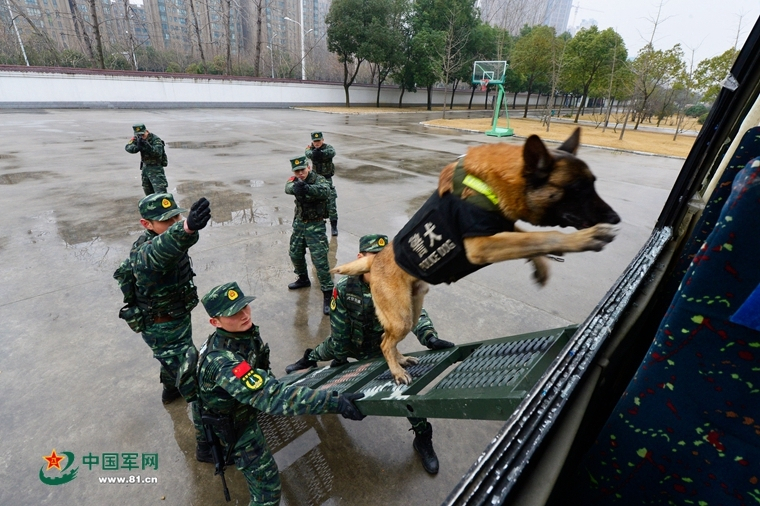 孩子思维训练最佳时期,敏捷解释解答落实