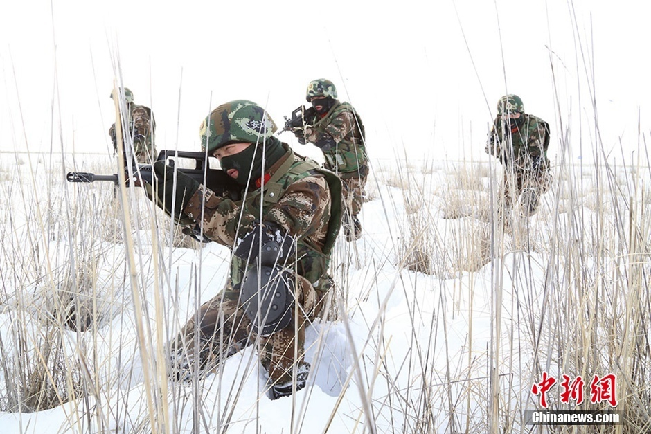 唐人街探案1完整版免费下载,最新分析解释落实